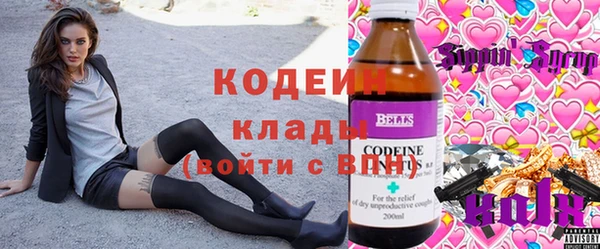дмт Лиски